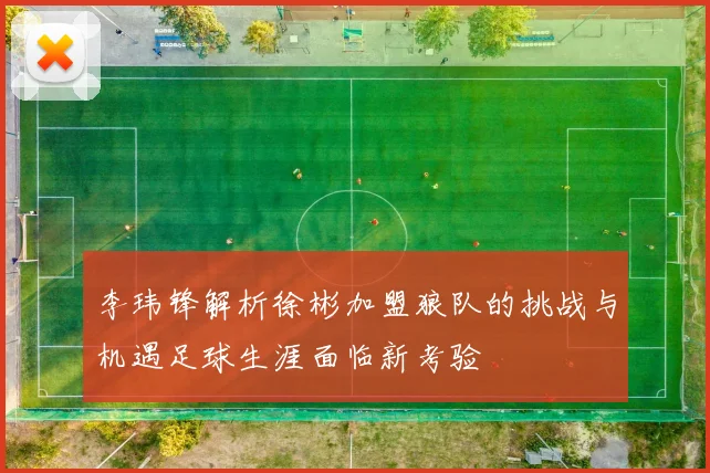李玮锋解析徐彬加盟狼队的挑战与机遇足球生涯面临新考验