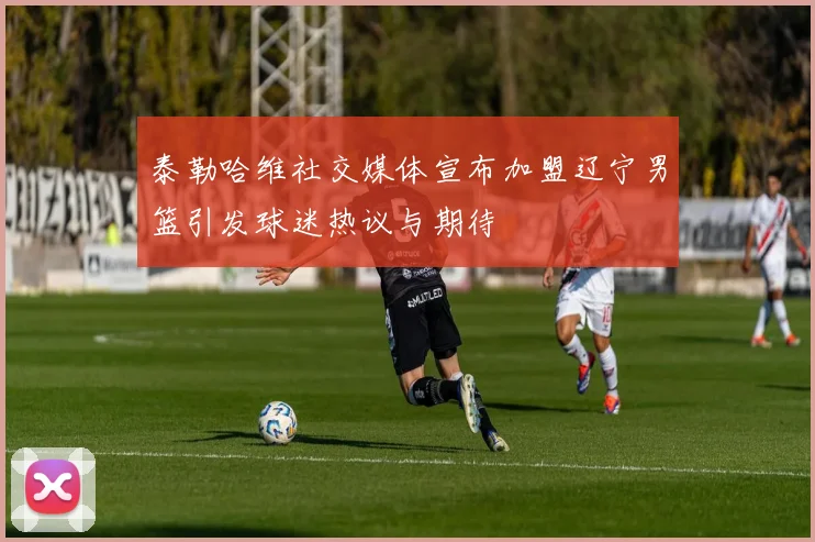 泰勒哈维社交媒体宣布加盟辽宁男篮引发球迷热议与期待