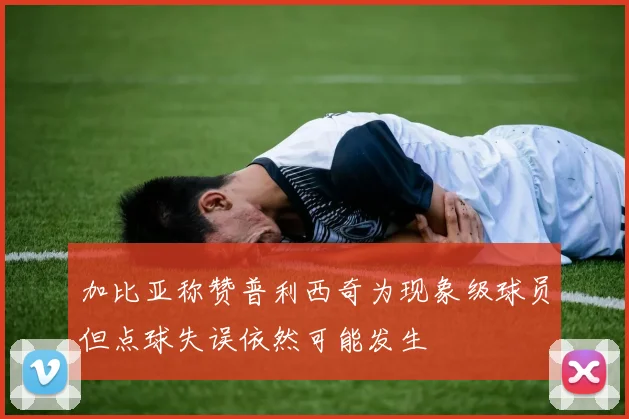 加比亚称赞普利西奇为现象级球员但点球失误依然可能发生