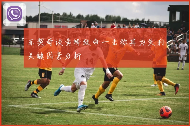 东契奇谈黄蜂致命一击称其为失利关键因素分析