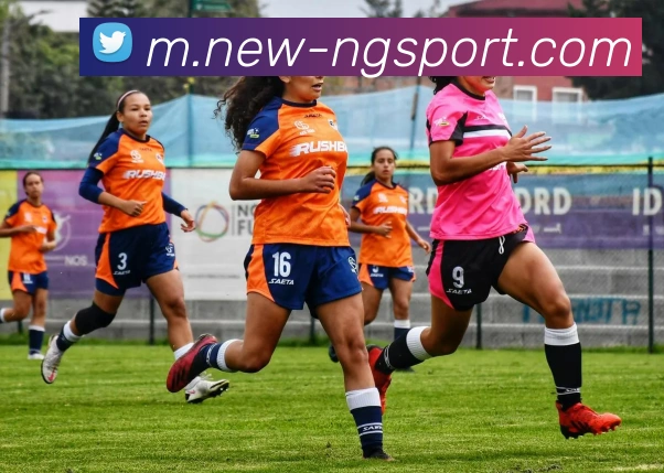 南宫体育平台生态图